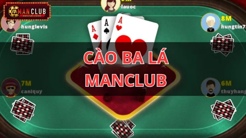Cào ba lá manclub
