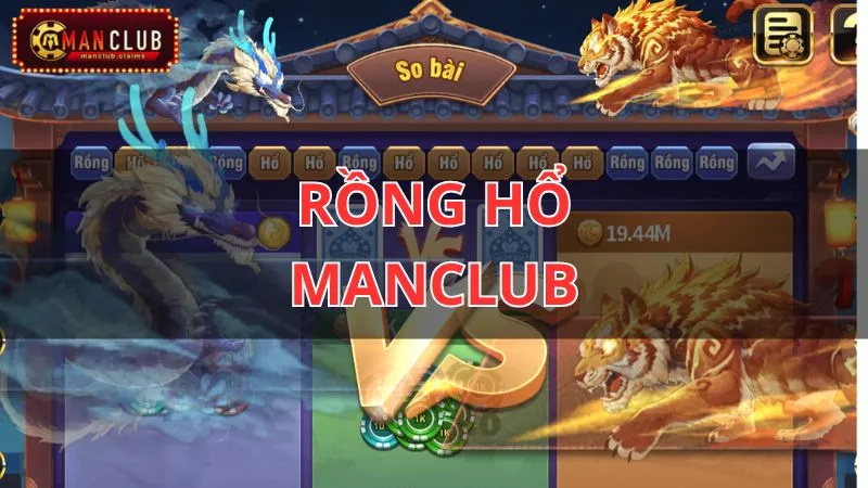 rồng hổ manclub